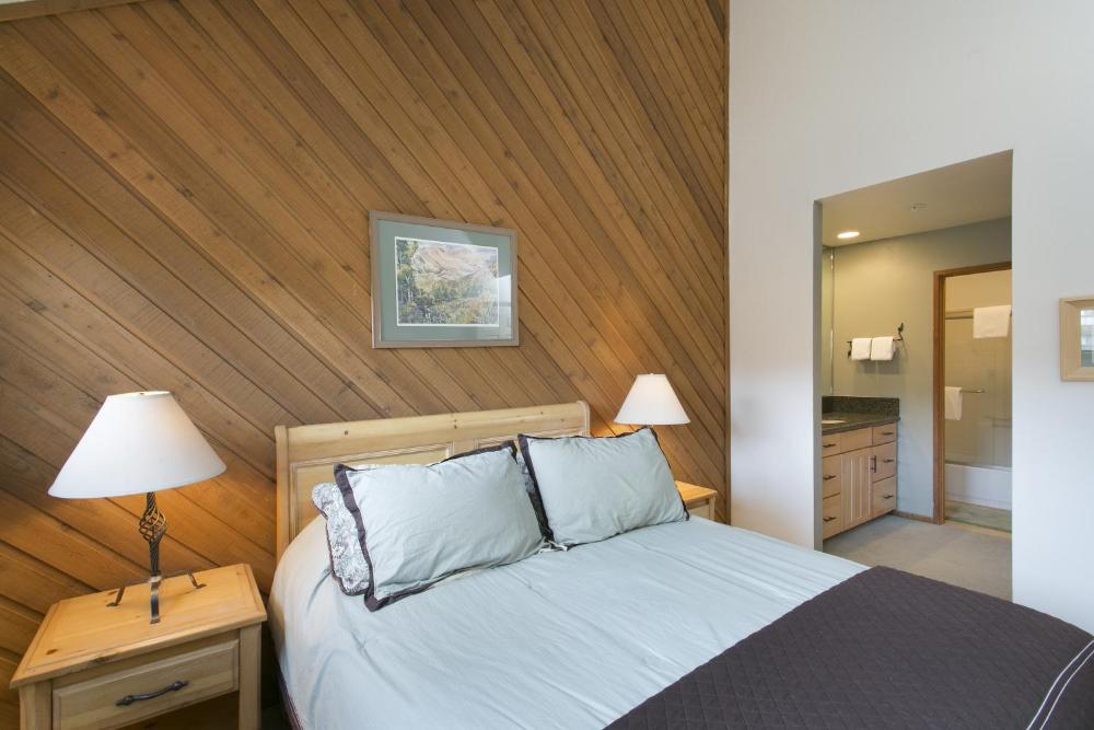 Deluxe One-Bedroom Apartment interior